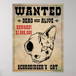Póster El gato de Schrodinger buscado II