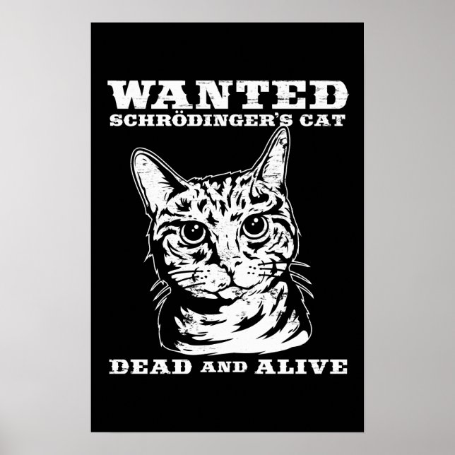 Póster El gato de Schrodinger buscado vivo o muerto (Frente)