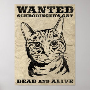 Póster El gato de Schrodinger buscado vivo o muerto