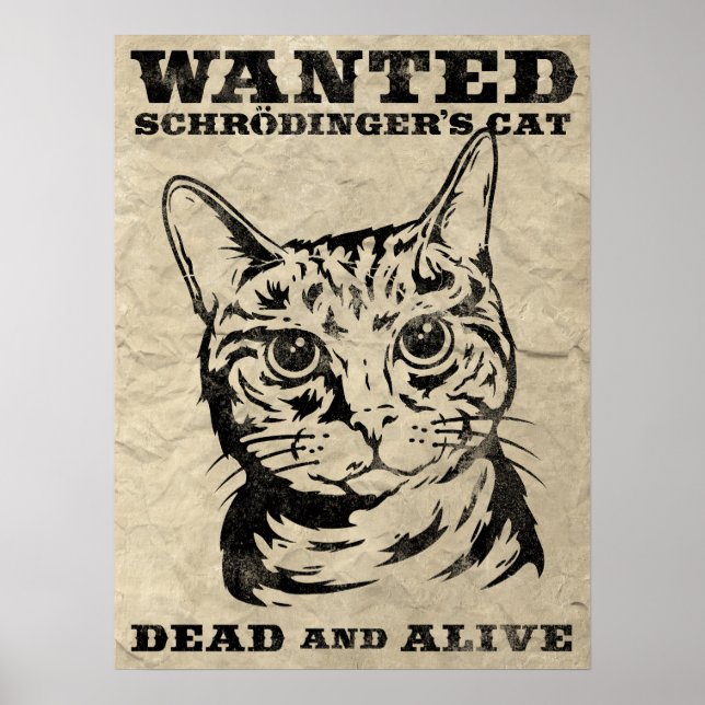 Póster El gato de Schrodinger buscado vivo o muerto (Frente)