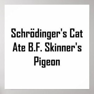 Póster El gato de Schrodinger comió a Pigeon de B.F.