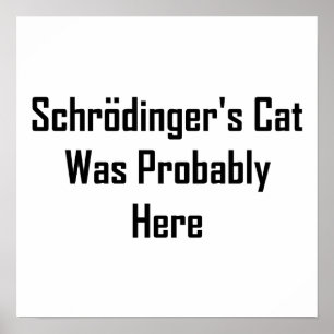 Póster El gato de Schrodinger probablemente estaba aquí