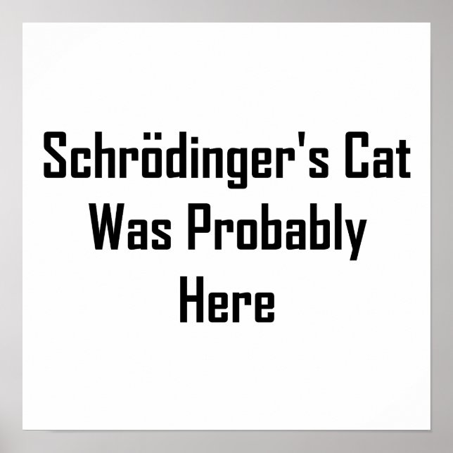 Póster El gato de Schrodinger probablemente estaba aquí (Frente)