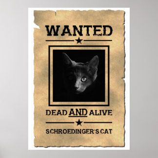 Póster El gato de Schroedinger buscado Poster | Chiste fí
