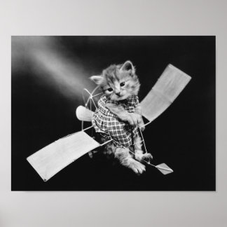 Póster El gato del aviador - Harry Whittier se libera