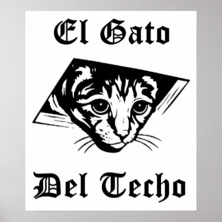 Póster El gato del eco