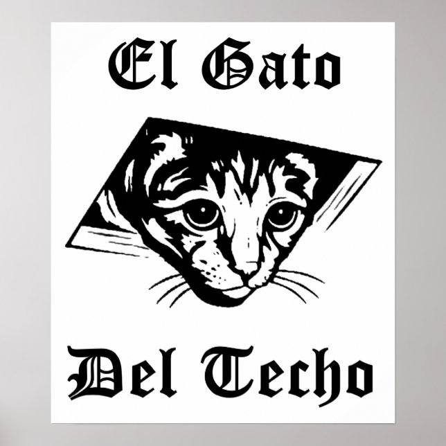 Póster El gato del eco (Frente)
