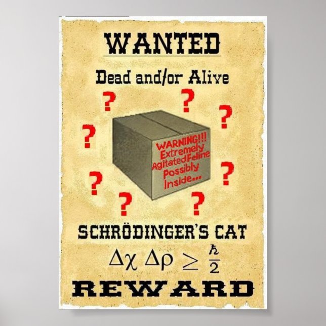 Póster El gato del Poster buscado de Schrodinger (Frente)