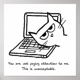 Póster El gato enojado exige la atención - poster