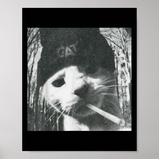 Póster El gato fumador Beanie Meme Grunge estética Grunge (Frente)