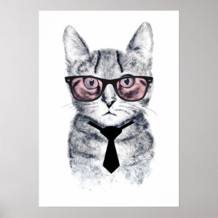 Póster El gato inteligente de Panka