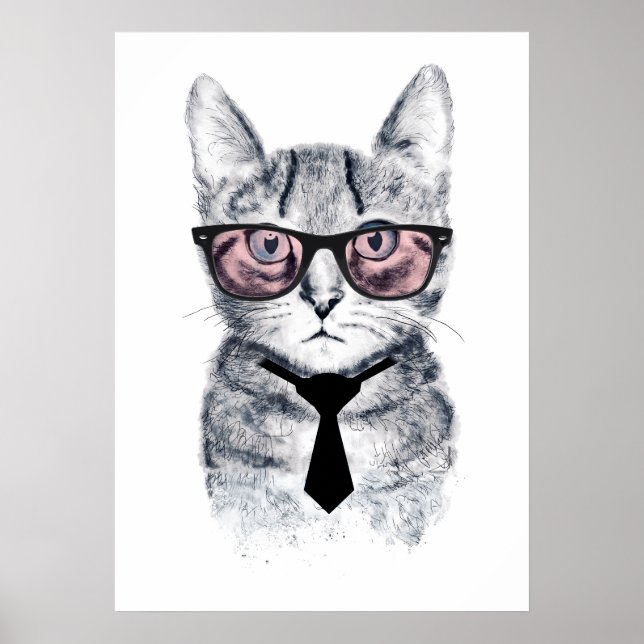 Póster El gato inteligente de Panka (Frente)
