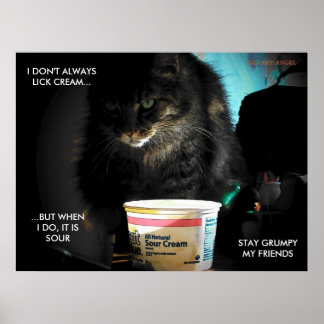 Póster El gato más interesante del mundo