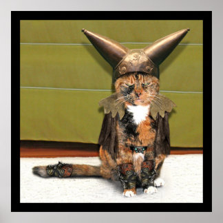 Póster El gato nórdico no es divertido