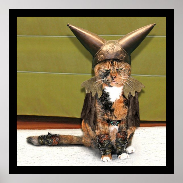 Póster El gato nórdico no es divertido (Frente)