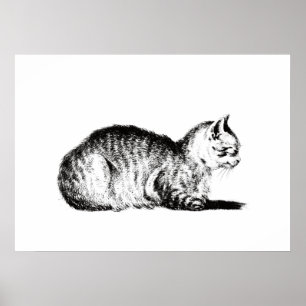 Póster El gato reclinado, a la izquierda, Jean Bernard, 1