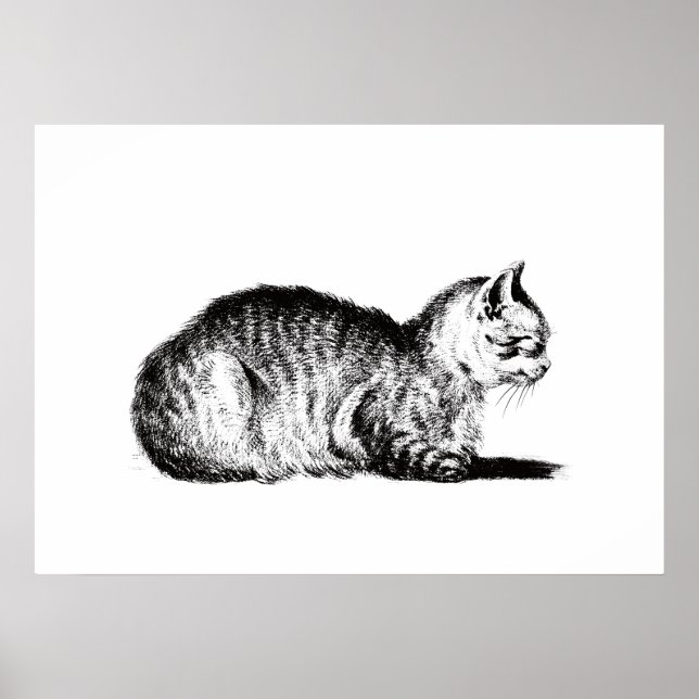 Póster El gato reclinado, a la izquierda, Jean Bernard, 1 (Frente)