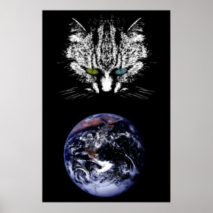 Póster El gato Tabby - Maestro del Poster Universo