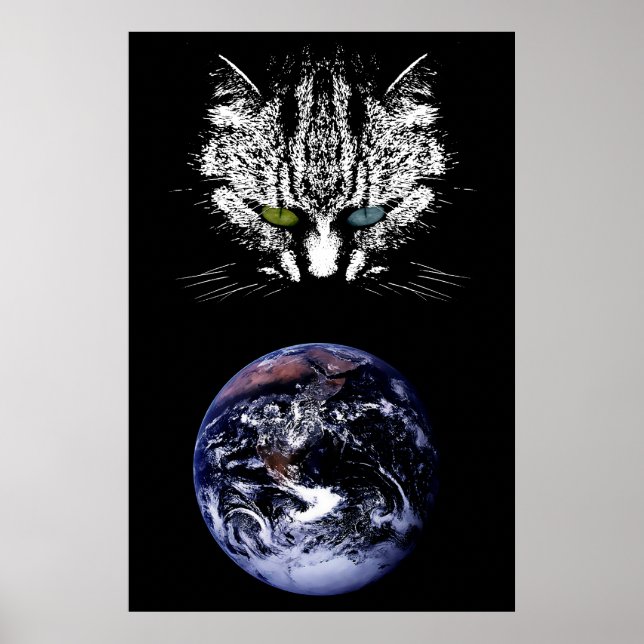 Póster El gato Tabby - Maestro del Poster Universo (Frente)