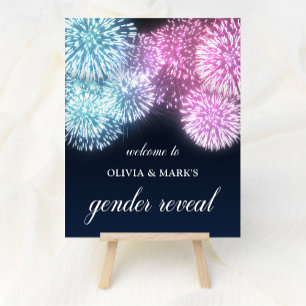 Póster El género de los fuegos artificiales rosa azul rev