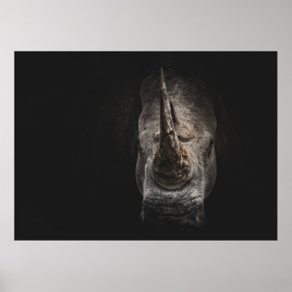 PÓSTER EL GIGANTE EN PELIGRO