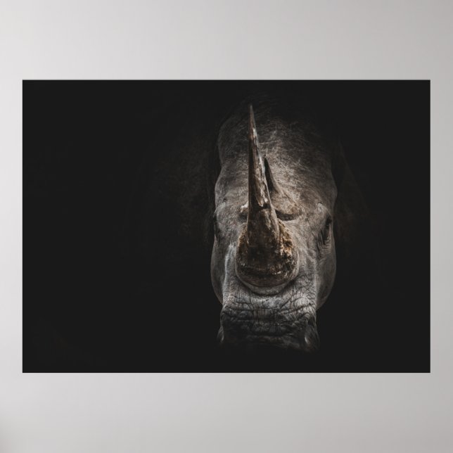 PÓSTER EL GIGANTE EN PELIGRO (Frente)