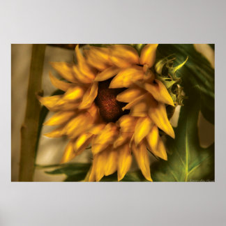 Póster El girasol