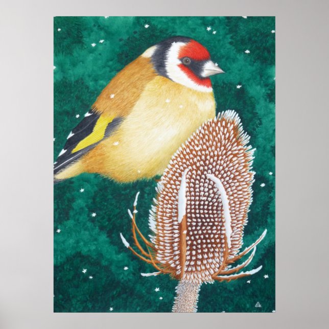 Póster El Goldfinch europeo (Frente)