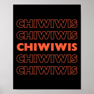 Póster El gracioso chicano latino mexicano Cinco De Mayo