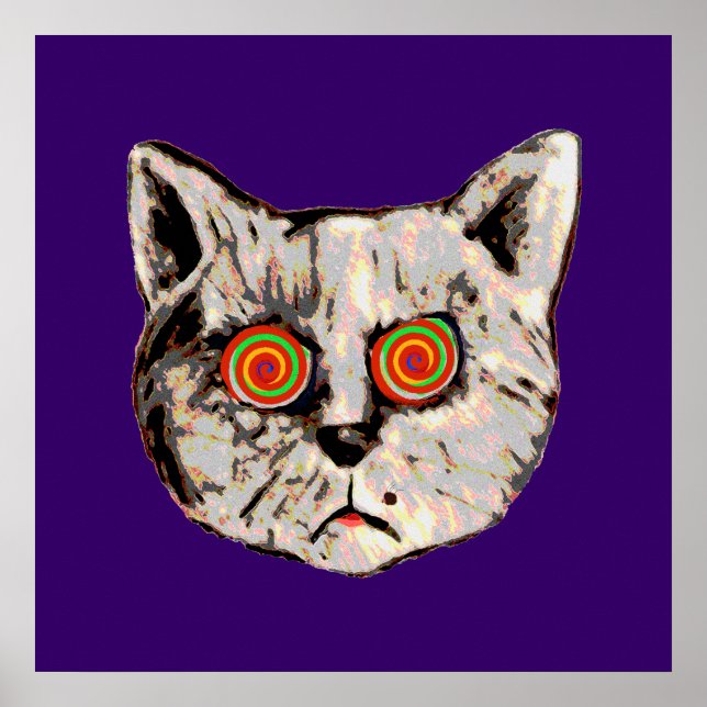 Póster el gracioso gato loco (Frente)