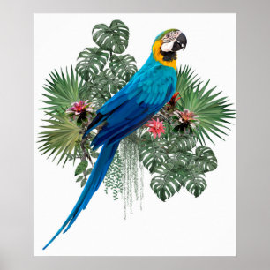 Póster El gran pájaro de la naturaleza