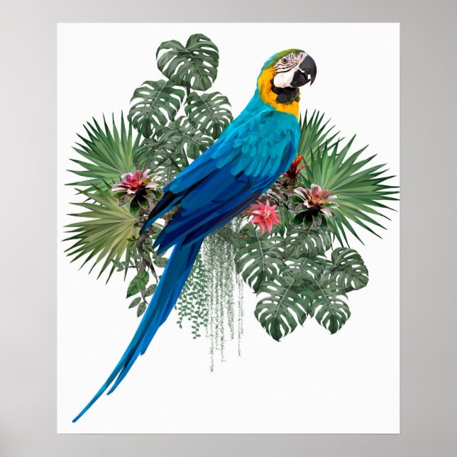 Póster El gran pájaro de la naturaleza (Frente)