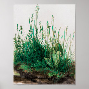 Póster El gran pedazo de cebo de Albrecht Durer