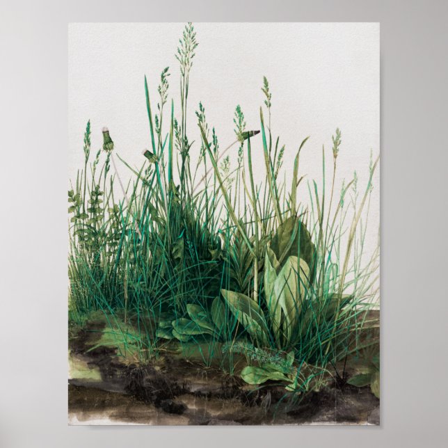 Póster El gran pedazo de cebo de Albrecht Durer (Frente)