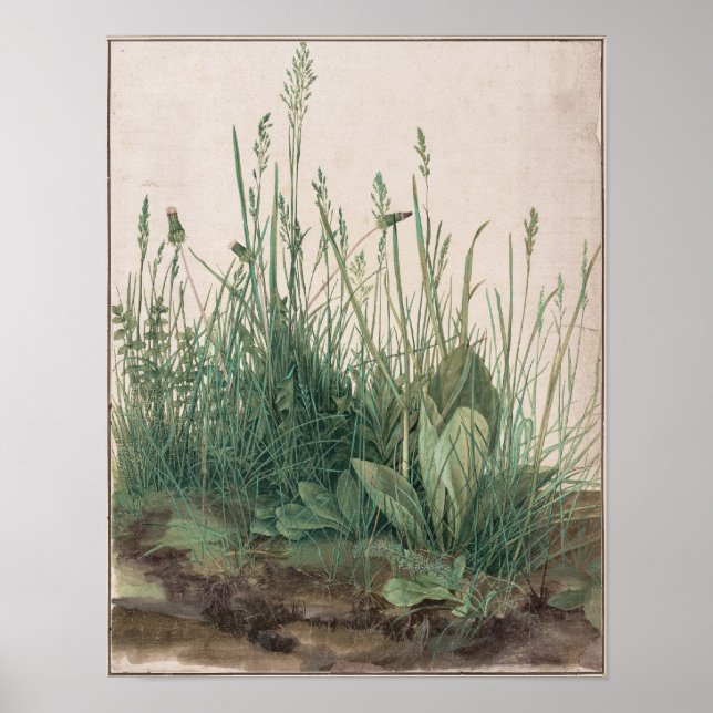 Póster El gran pedazo de cebo de Albrecht Durer (Frente)