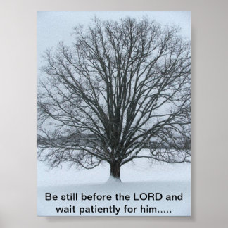 Póster El gran roble