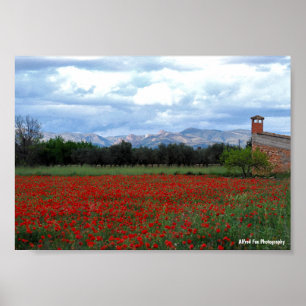 Póster El granero del campo en el campo de amapolas