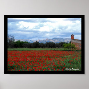 Póster El granero del campo en el campo de amapolas