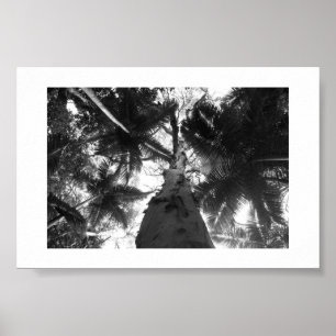 Póster El gris sobre la foto en blanco y negro de Austral