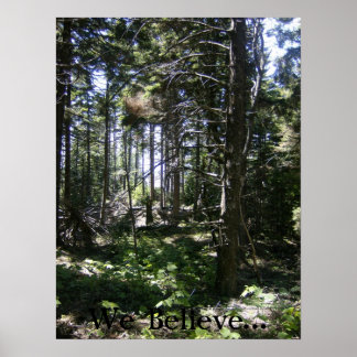 Póster El hada monhegan