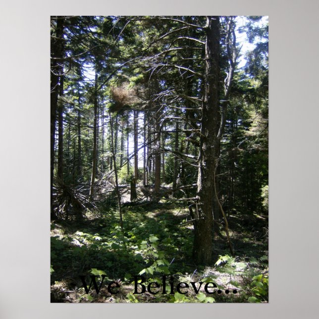 Póster El hada monhegan (Frente)