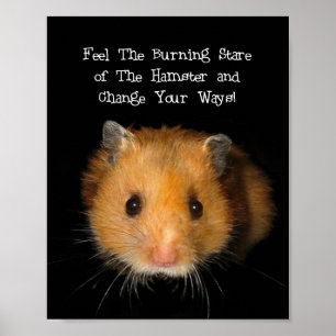 Póster El Hamster