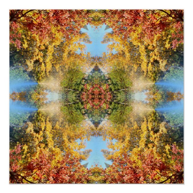 Póster El hermoso bosque en otoño... (Anverso)