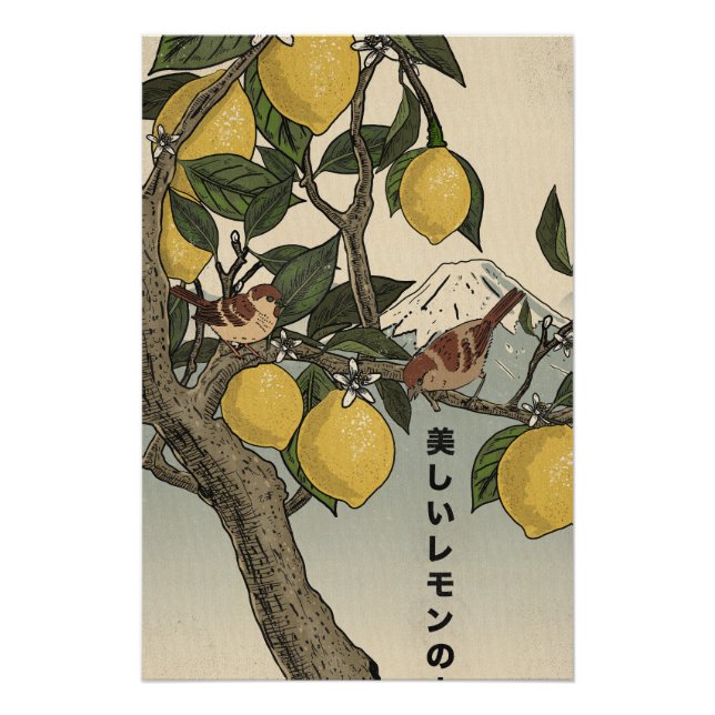 Póster El hermoso limonero (Anverso)