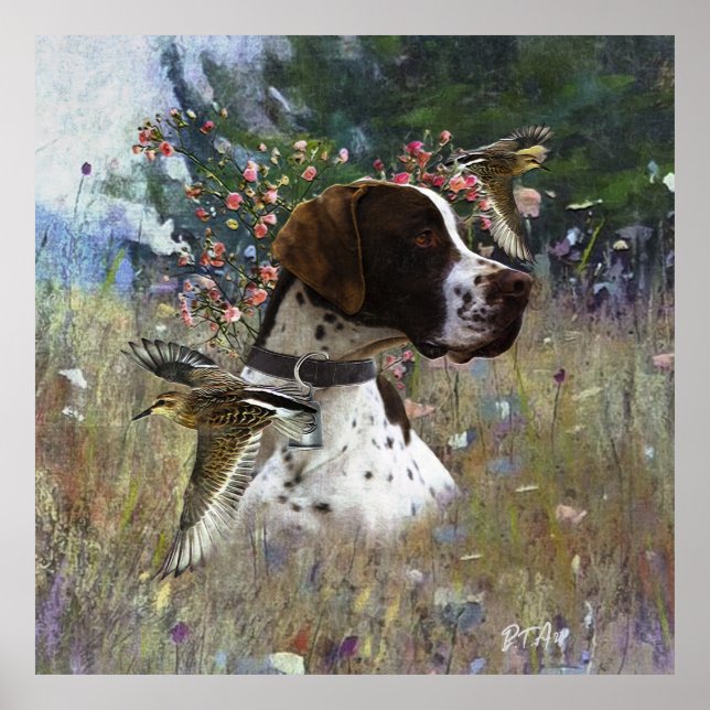 Póster El hermoso puntero en el campo (Frente)