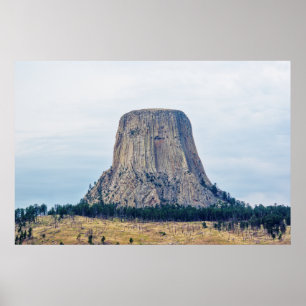 Póster El hogar de un oso