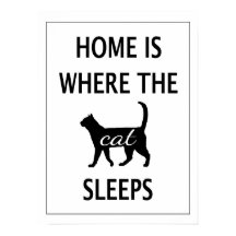 El hogar es donde duerme el gato