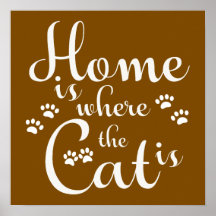 El hogar es donde el gato es los pequeños pájaros