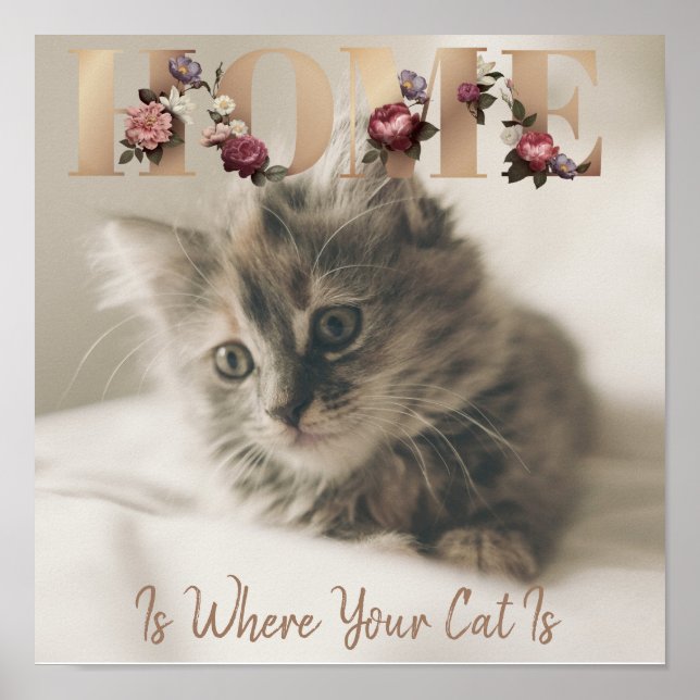 Póster El hogar es donde está tu gato (Frente)
