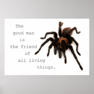 Póster El hombre bueno